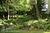 Captain Swift Inn::BedAndBreakfast.com