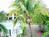 Cape Paradise Resort::Hotels.com