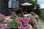 Romantic Adventure::BedAndBreakfast.com