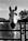 Westward Look Resort::TripAdvisor