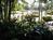 Hale Moi Cottages-A Marc Condo::Yahoo! Travel