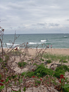 R.G. Kreusler Park::Visitusa