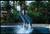 Siegfried & Roy's Secret Garden and Dolphin Habitat from Yahoo! Travel
