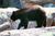 Knoxville Zoological Gardens from Knoxville-zoo
