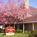 Residence Inn by Marriott Colorado Springs Central::Yahoo! Travel