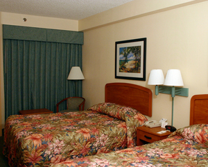 Web-room0-20070116-111450-851