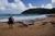 The Palmwood::TripAdvisor