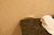 Clarion Hotel Portland::TripAdvisor