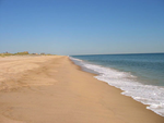 Tn-beach_1