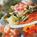 Brennecke's Beach Broiler::Brennecke's beach broiler