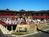 Baymont Inn & Suites - Raintree Resort::ProfessionalTravelGuide.com
