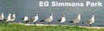 E.G. Simmons Park Beach
