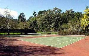 Web-zb_2590-tenis-1