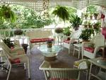Wisteria Bed and Breakfast