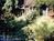 Arbor House::BedAndBreakfast.com