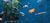 Monterey Bay Aquarium::Montereybayaquarium