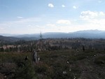 Tn-bear_valley_banner