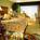Omni Jacksonville Hotel::Travelocity.com