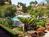 Palm Garden Hotel::Expedia