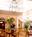 Gulfstream Hotel from Hotels.com