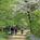 Residence Inn Columbia Maryland::Orbitz