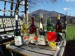 Peaks of Otter Winery