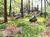 Gramercy Mansion Bed & Breakfast::BedAndBreakfast.com