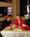 Isle of Capri Casino Resort::ProfessionalTravelGuide.com