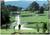 Pointe Royale Condominium Resort And Golf Course::Travelocity.com