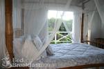 Bamboo Jungle House