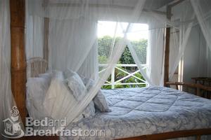 Bamboo Jungle House::BedAndBreakfast.com
