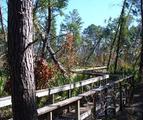 Turkey Creek Sanctuary