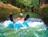 Kauai Backcountry Adventures from Kauai Backcountry Adventures
