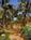 Ayres Inn Orange::Expedia