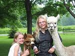 Infinity Acres Alpaca Farm & Petting Ranch::Virginia.org
