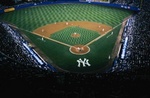 New York Yankees & Yankee Stadium