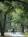 Daufuskie Island Club::Travelocity.com