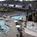 Baymont Inn & Suites - Raintree Resort::Hotels.com