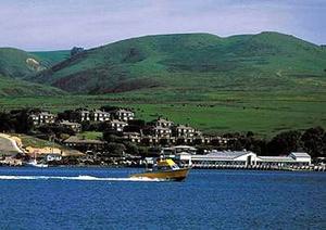 Web-npa_tide-exter-1