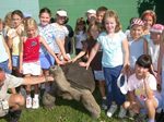 Zoo Boise