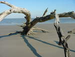 Jekyll Island
