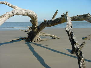 Jekyll Island::Georgiascoast.com