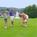 Stoweflake Mountain Resort & Spa::ProfessionalTravelGuide.com