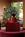 Holiday Inn Charleston Airport & Conv Ctr::ProfessionalTravelGuide.com