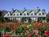 The Wild Iris::BedAndBreakfast.com