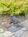 Meadowlark Inn::BedAndBreakfast.com