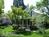 The Foxes in Sutter Creek from BedAndBreakfast.com