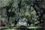 Litchfield Plantation::ProfessionalTravelGuide.com