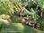 COCONUT COTTAGE BED & BREAKFAST::BedAndBreakfast.com