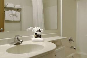 Web-sea_tlsa-bathr-1